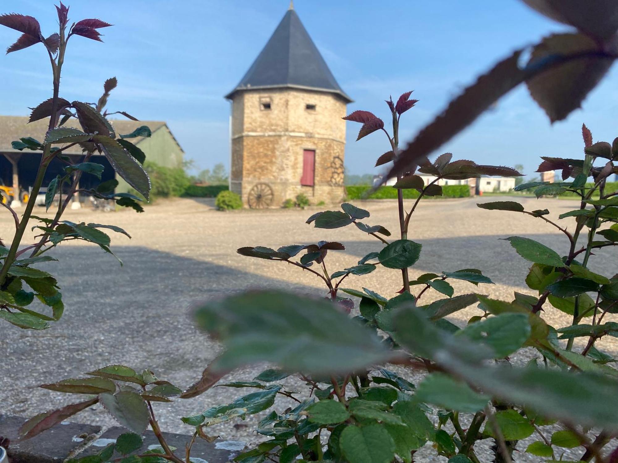 Chambres Dhotes A La Ferme Forest-Montiers 외부 사진