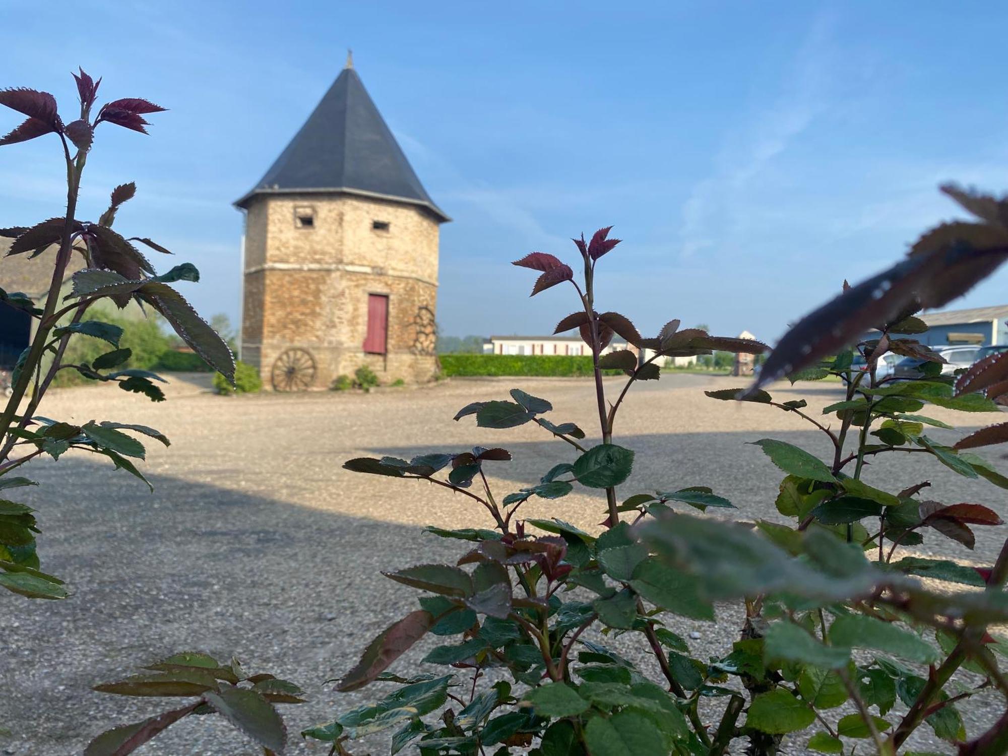 Chambres Dhotes A La Ferme Forest-Montiers 외부 사진